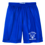 all saints sweat shorts